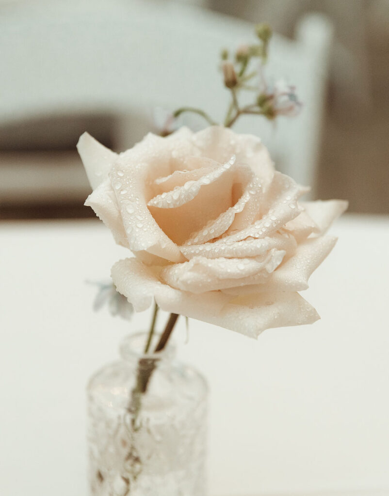Bud vases